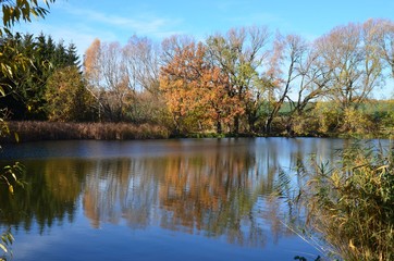 Fototapeta na wymiar Bunte Herbstlandschaft spiegelt sich im Wasser