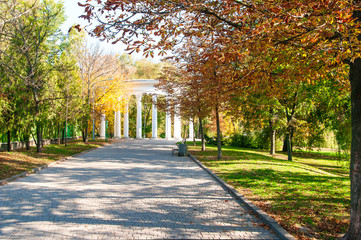 Autumn park and the sun's rays make their way through the trees