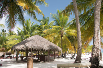 beach in the dominican republic