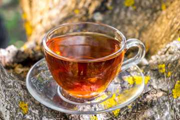 Transparent cup of green tea on wooden background