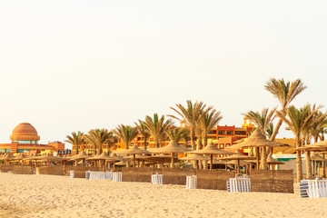 beach on the shores of the desert with sun beds and palm trees
