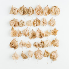 Fall / autumn leaves on white background. Flat lay, top view minimal composition.