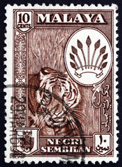 Naklejka premium Znaczek pocztowy Malaya 1957 Tiger, Panthera Tigris, Animal