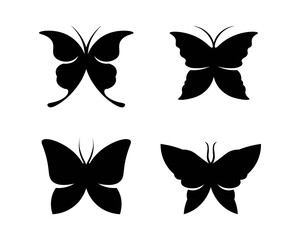 Vector - Butterfly conceptual simple, colorful icon. Logo. Vector illustration