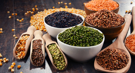 Composition with variety of vegetarian food ingredients