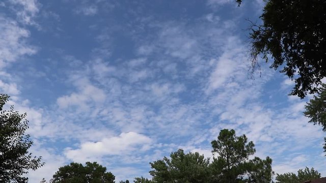 Time lapse of blue sky with trees.
