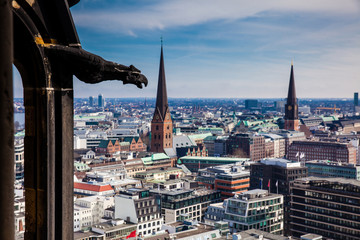 Bird overlooking the beautiful city of Hamburg