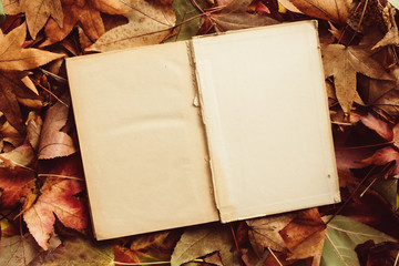 Old book and autumn leaves