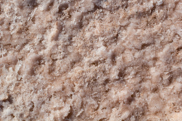 Natural pink salt crystal texture on the sand, macro, close up, lamellar structure. Salty lake shore background, Spain, Torrevieja.