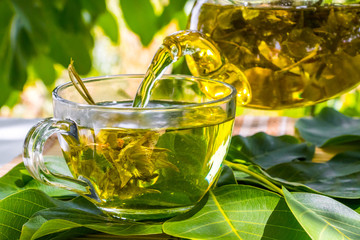 Green Tea time - Relax With Hot Tea In Zen Garden