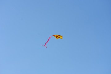 Colorful KIte IN Summer Sky