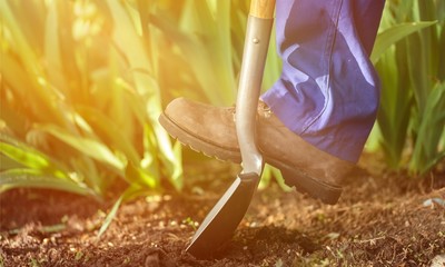 Garden dig soil agriculture shovel image worker