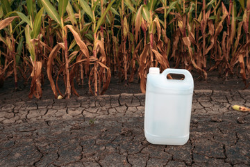 White plastic pesticide chemical jug in cornfield