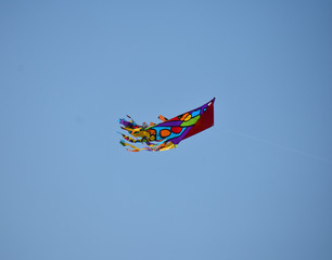 Flying Kite in the Summer Sky