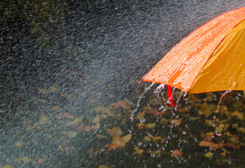Rain drops falling from bright orange umbrella during heavy rain in autumn park, close-up. Rainy...