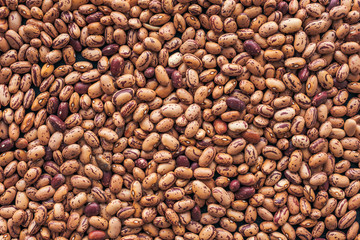 Pinto bean from above