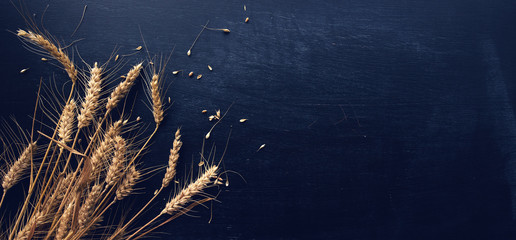 Ears of wheat and grains - obrazy, fototapety, plakaty