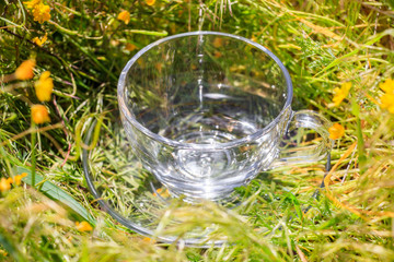 Transparent empty cup of  tea on meadow background