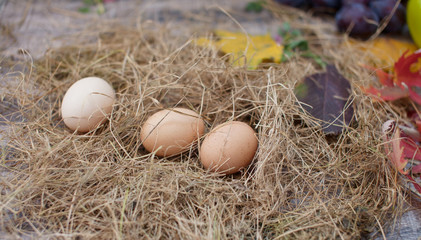 Naklejka na ściany i meble Brown chicken eggs in hay nest. Sackcloth and wooden background 