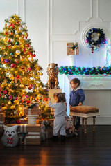 Дети ждут чудо в Новый год. С новым годом! Счастливого Рождества! Новогодняя елка с рождественскими игрушками. Брат с сестрой наряжают елку.
