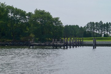 Dock with Birds Hawks Vultures