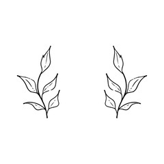 Hand drawn branches and leaves. Vector design elements. Nature vector illustration.