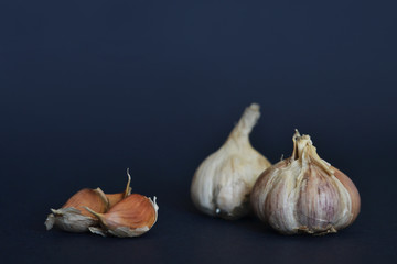 garlic in the dark background