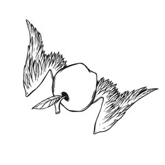Graphic vector illustration with apple for Newton Day.  Falling apple with wings.