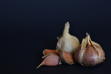 garlic in the dark background