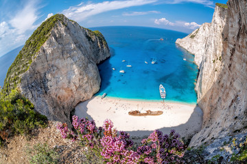 Navagio beach with shipwreck and flowers on Zakynthos island, Greece