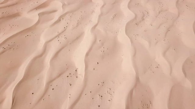 Al Qudra desert