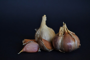 garlic in the dark background