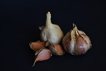 garlic in the dark background