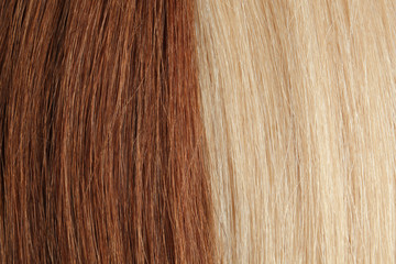 Strands of different color hair as background, closeup