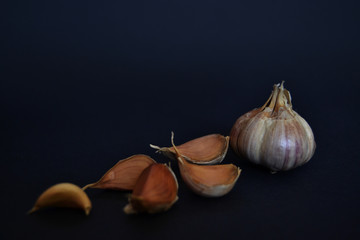 garlic in the dark background