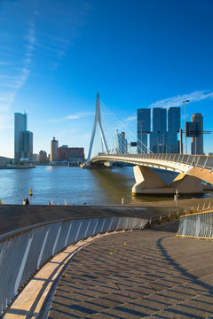 Erasmus Bridge (Erasmusbrug), Rotterdam, Zuid Holland, Netherlands