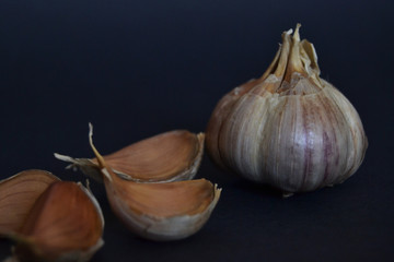 garlic in the dark background
