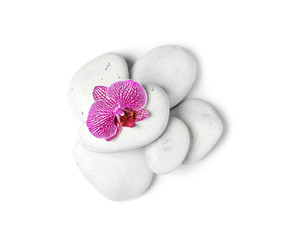 Obraz na płótnie Canvas Spa stones with orchid flower on white background, top view
