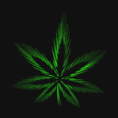 Cannabis marijuana hemp leaf 