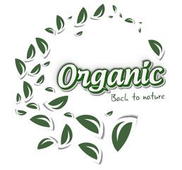 Green organic label with leaves on white background, vector illustration