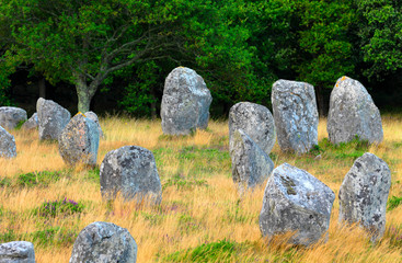 France, Brittany, Morbihan, Carnac, megalithic menhir alignments of Menec