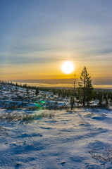 Urho Kekkonen National Park Mid Day Sun