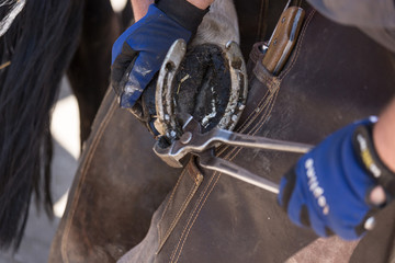 Hufschmied bei der Arbeit