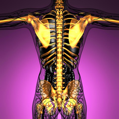 science anatomy of human body in x-ray with glow skeleton bones