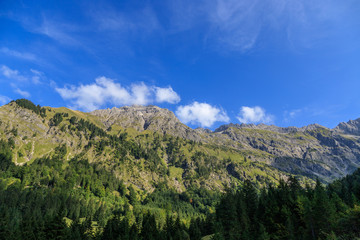 Wandern durchs Retterschwanger Tal