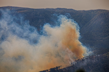 a fire in a pine forest in the mountains