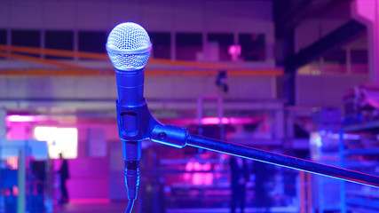 Microfono per karaoke