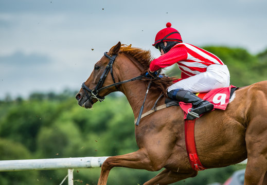 Close-up on single race horse and jockey racing