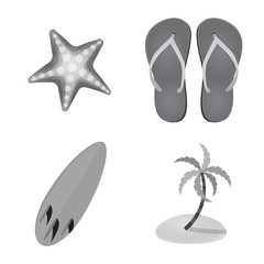 Vector illustration of equipment and swimming icon. Set of equipment and activity stock symbol for web.