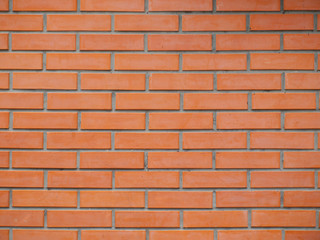 Fototapeta premium OLYMPUS DIGITAL CAMERA